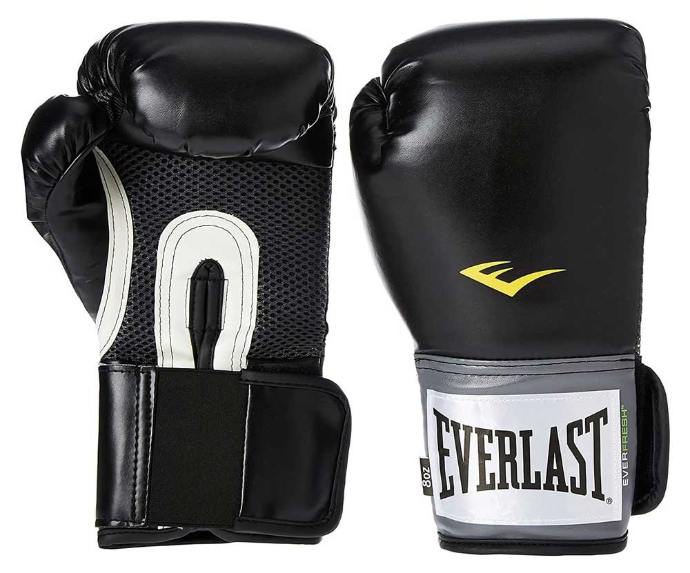 Everlast 16 Oz Boxing Glove